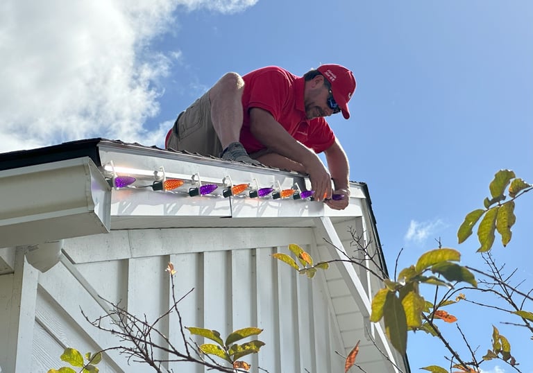 Professional Christmas Light Installation