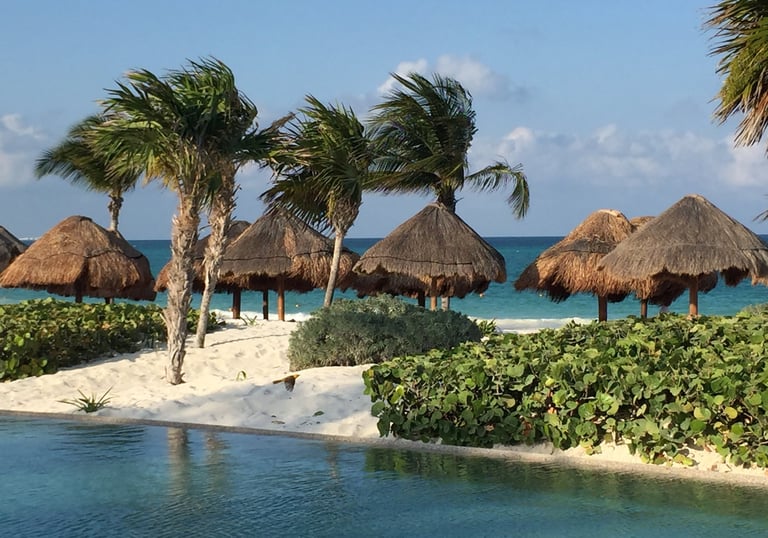 a beach with palm trees and a pool