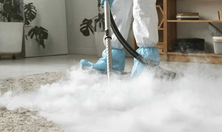 Image of a deep domestic carpet clean