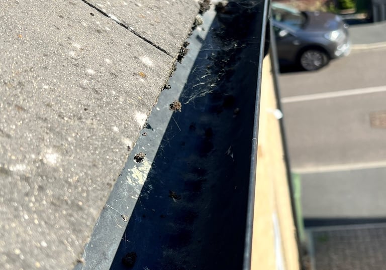 "Technician from PJB Exterior Cleaning inspecting a gutter on a residential property in Norwich, Nor