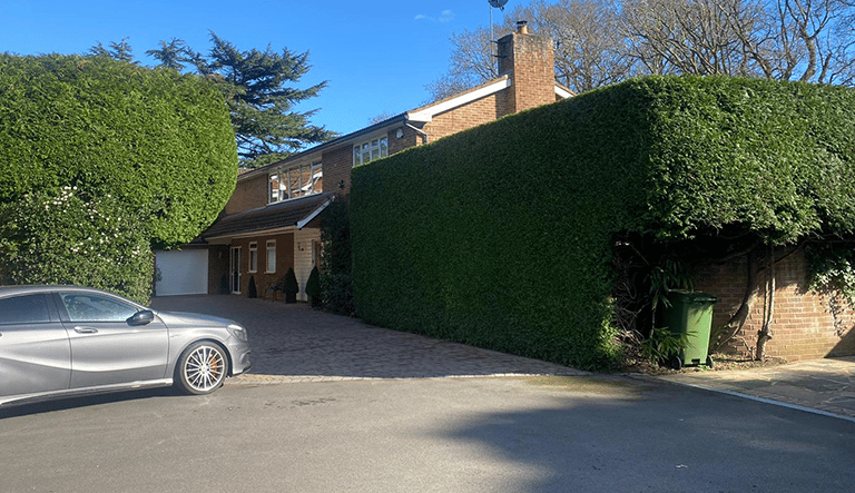 Front garden hedge trimming for kerb appeal, tidy sweep-down.