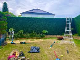 Boundary conifers reduced in height and faced flat along a garden edge.
