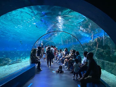 a group of people standing in front of a large aquarium