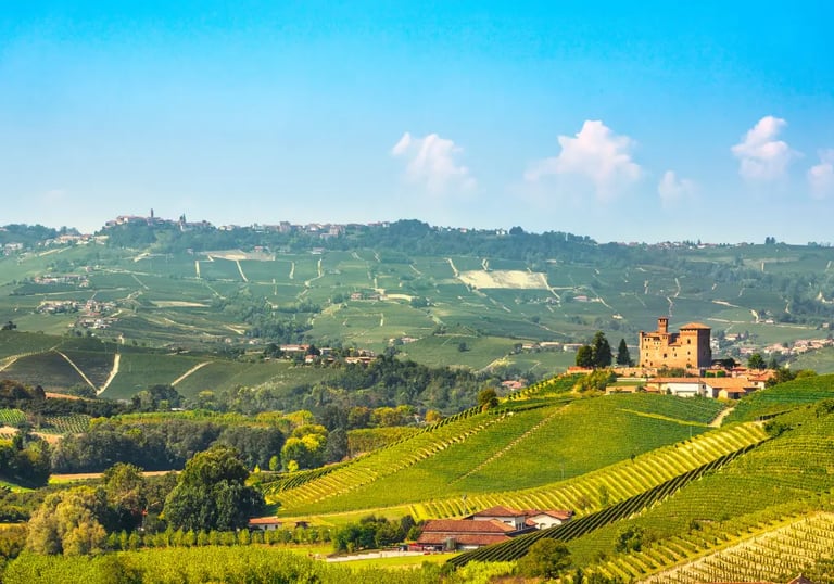 Castle of Grinzane Cavour surrounded by vineyards in the Langhe hills near Alba, Piedmont, Italy, a UNESCO World Heritage win