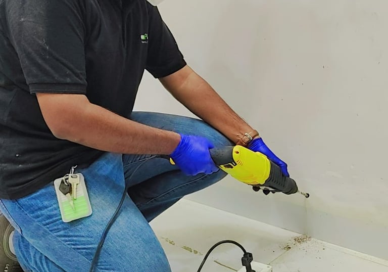 RESIDENTIAL PEST CONTROL SERVICE