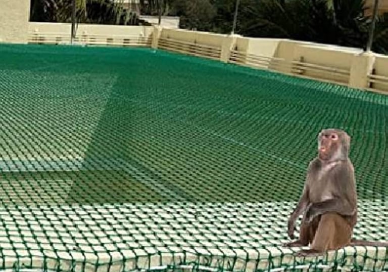 monkey-safety-nets-in-bangalore