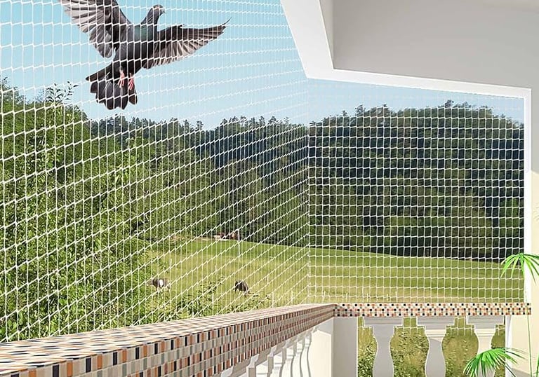 pigeon-safety-nets-in-bangalore