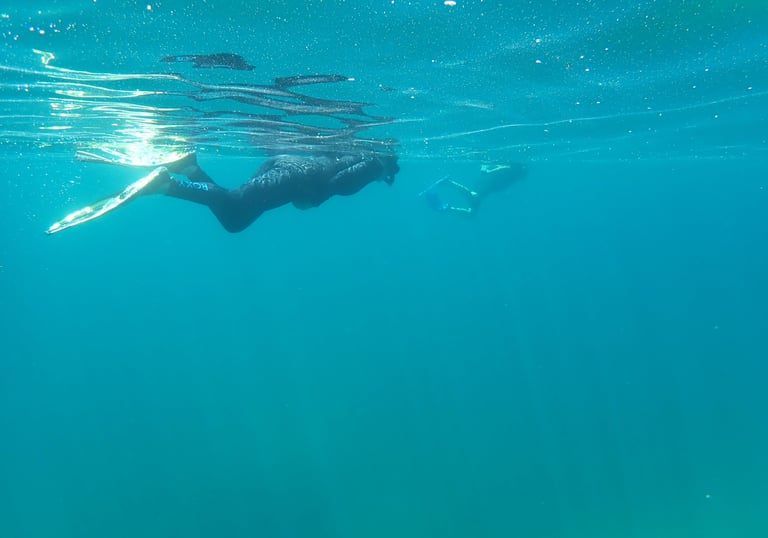 snorkeling thunder bay michigan shipwreck
