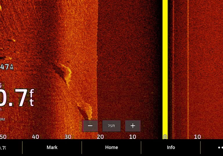 side imaging of rocks and shadow on Garmin
