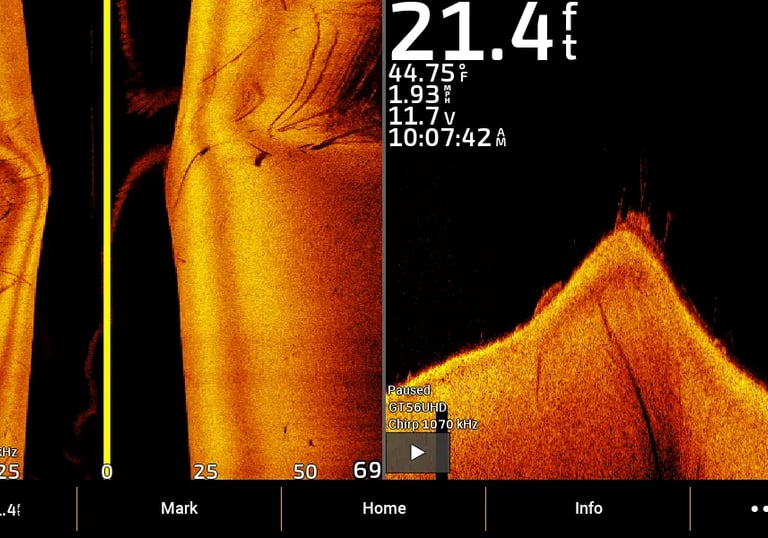 Garmin sonar images of branches and rocks on side view and down view