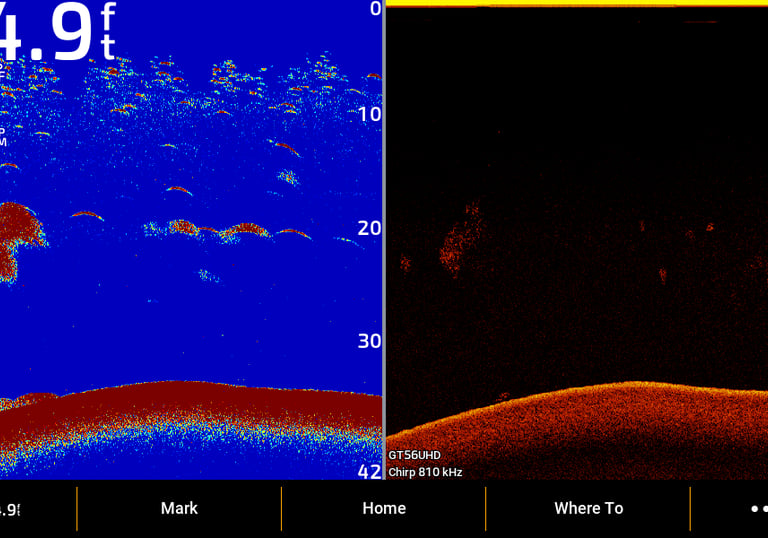 suspended trout in lake in Outaouais on 2D and down imaging