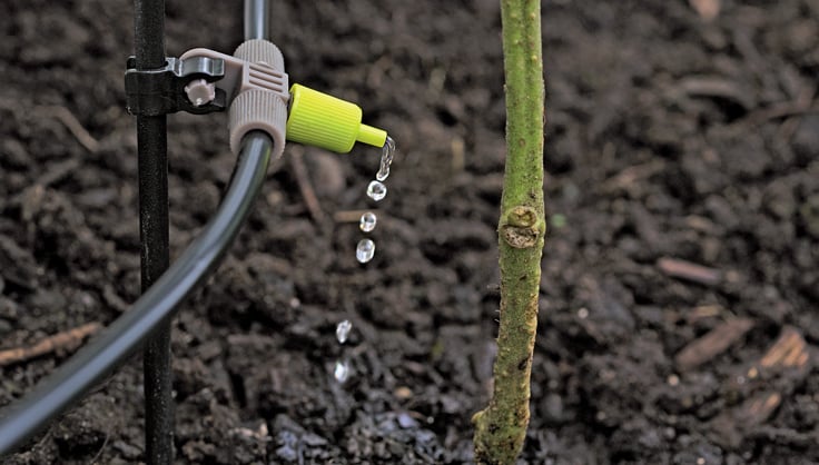 An automatic irrigation system's valve box and water connection installed underground in a garden.