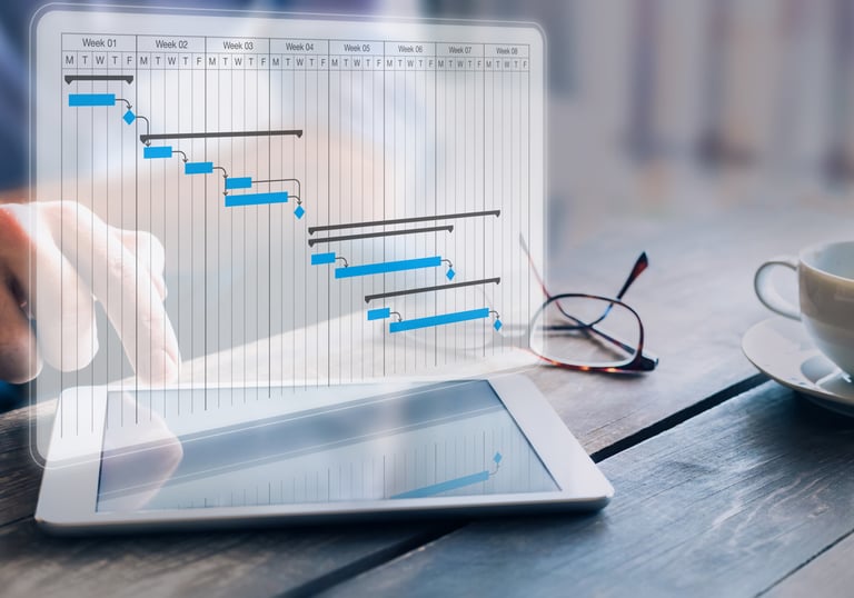 Project management using PMP project management professional methodologies