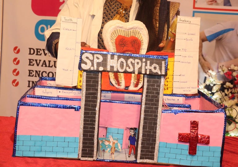 PROJECTS IN EXHIBITIONS