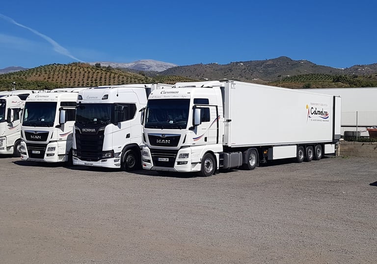 Exportación de Frutas