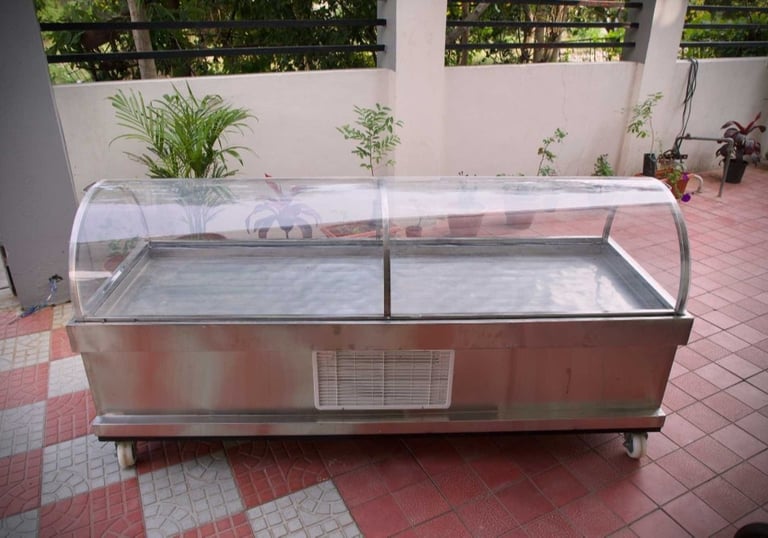 dead Body Freezer Box On rent