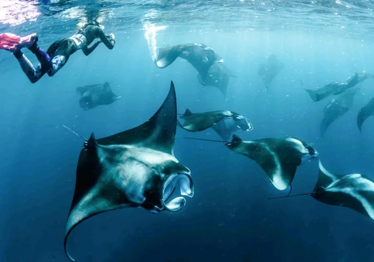 manta-discovery-snorkel-combo-ukulhas