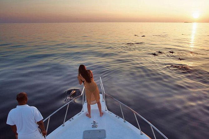 ukulhas dolphin safari pod