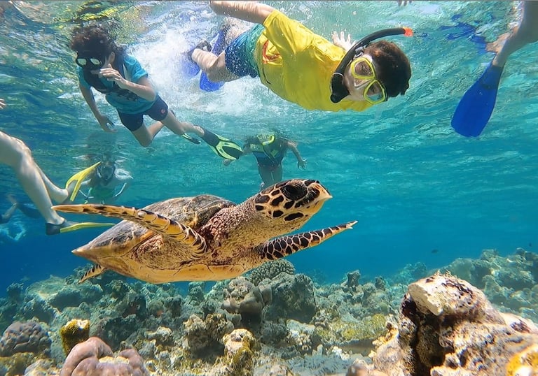 ukulhas-snorkelling-turtle-point