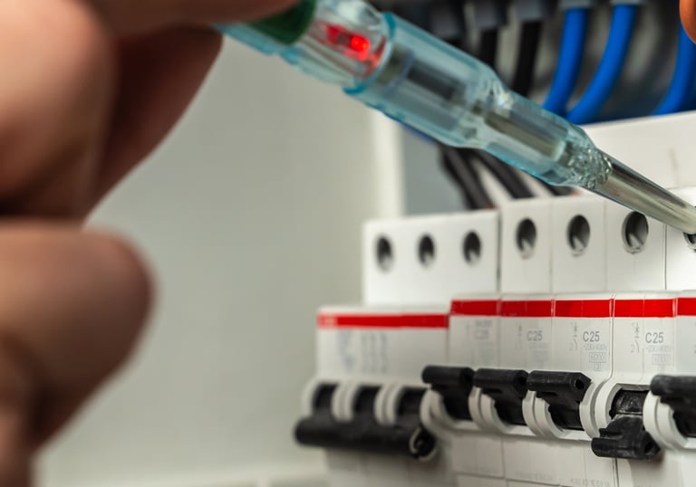 a person is holding a syet in their hand