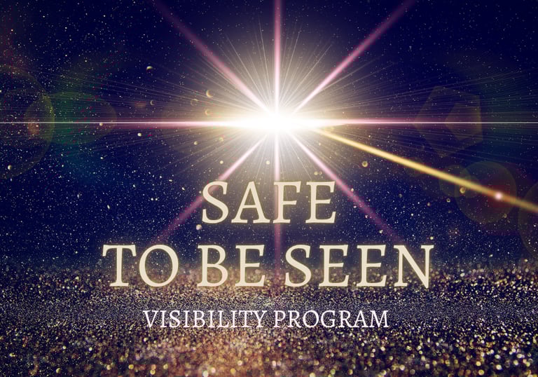 Safe To Be Seen visibility support program