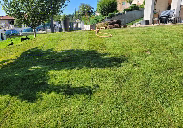 Travaux pour les Diamants Noirs d'Also