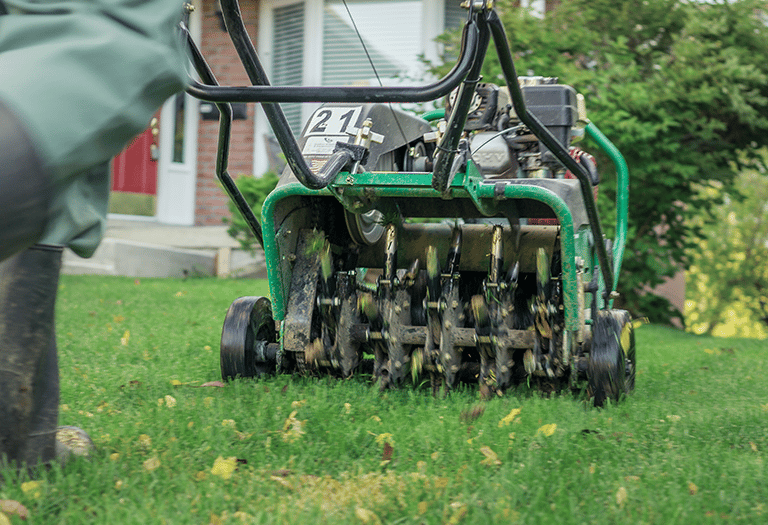 Lawn Aeration Five Forks SC