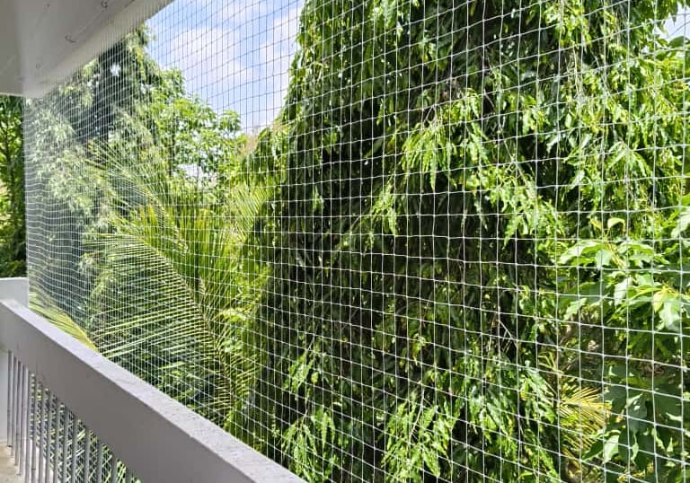 A happy pet safely enjoying the balcony space enclosed by a strong, transparent safety net.