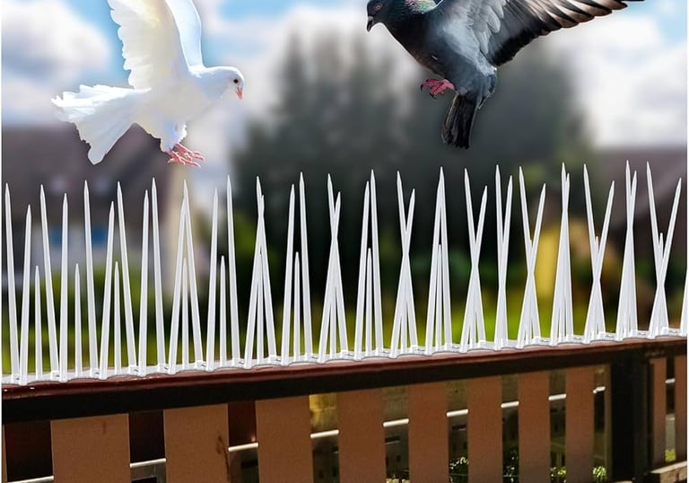 bird spike nets installation by arjilli safety nets spikes helps in eliminating birds