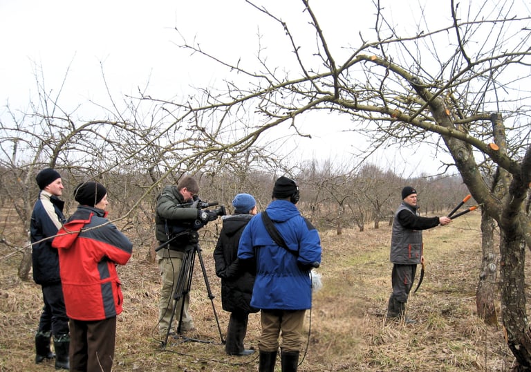 Kalmer Kasvand näitab Eesti Televisiooni saatele uudset õunapuude lõikust juba 2003 aastal