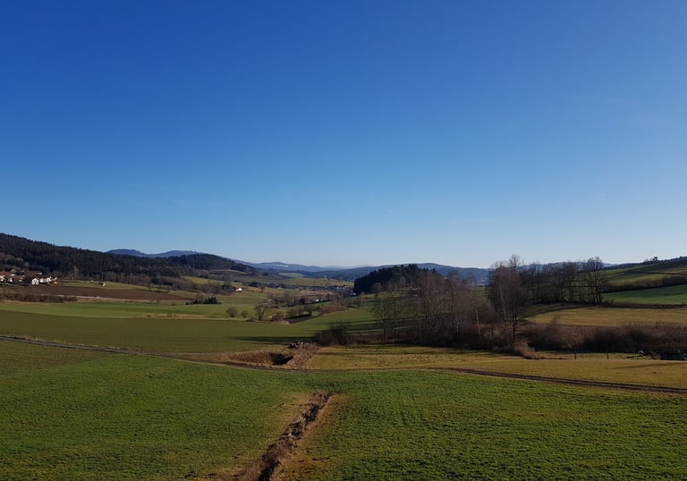Ausblick Bayerischer Wald