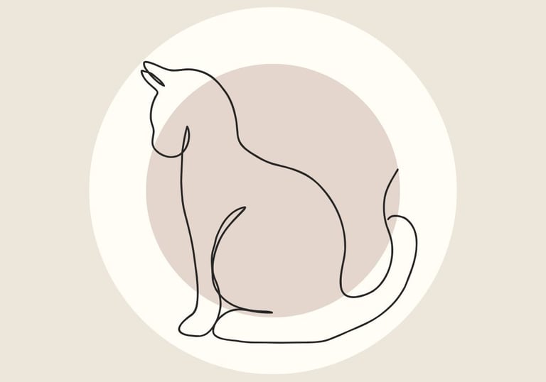 Imagen sección Mirar hacia delante