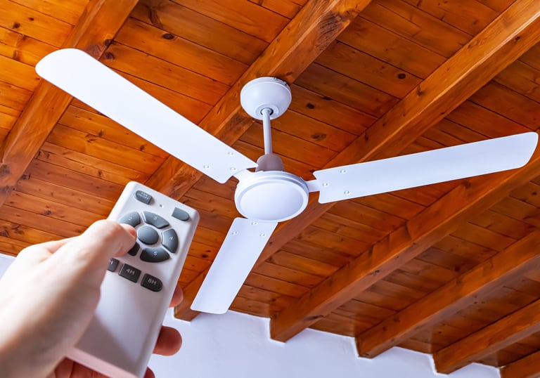 Electrical handyman services in Canton GA including light fixture and ceiling fan installation