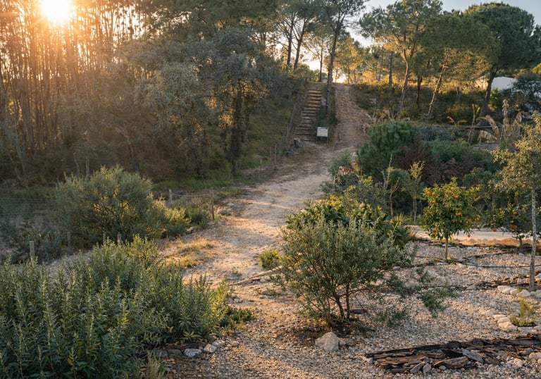 Caminho natural na Terra das Abelhas, projeto de apiturismo em Coruche, Ribatejo
