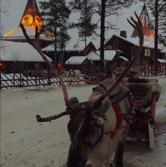 Reno en Finlandia en el pueblo de Santa Claus