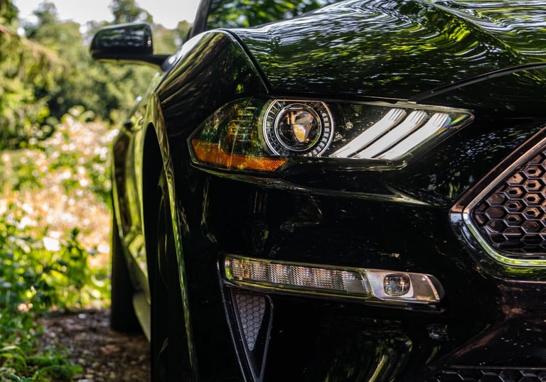 Schwarzer Ford Mustang auf Landstraße, tief fotografiert, zeigt Rückleuchten, Felgen 