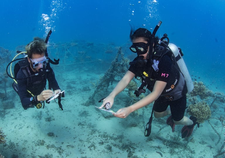 PADI Aware Speciality course Koh Tao
