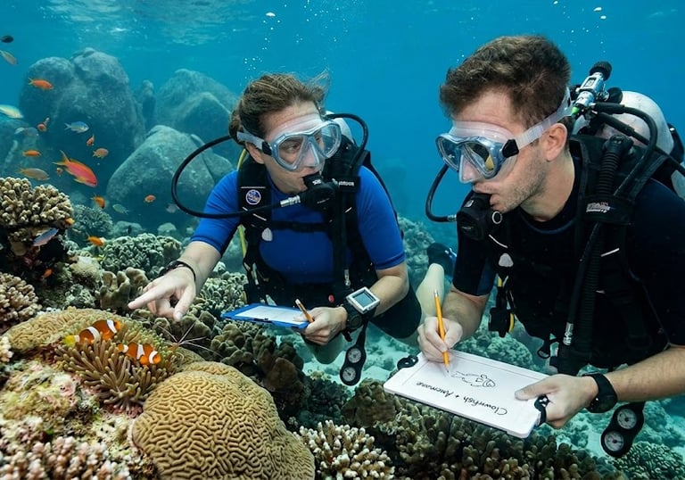 Two scuba divers observing clownfish and coral reefs while recording data on underwater slates.