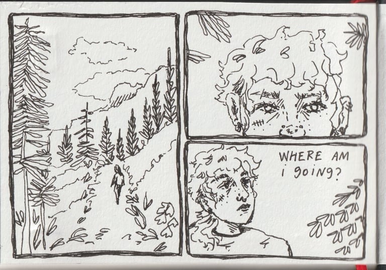 Comic panels in pen showing a person walking through a tree-lined hillside, text 'where am i going'.