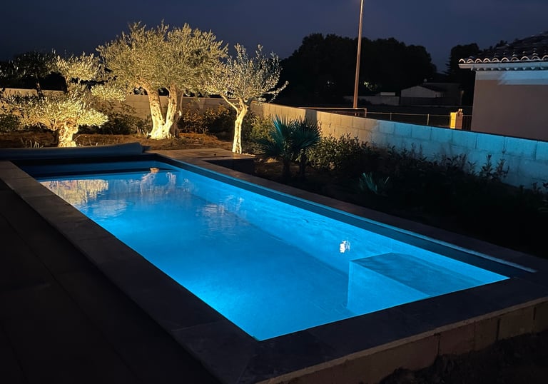 Piscine avec revètement armé