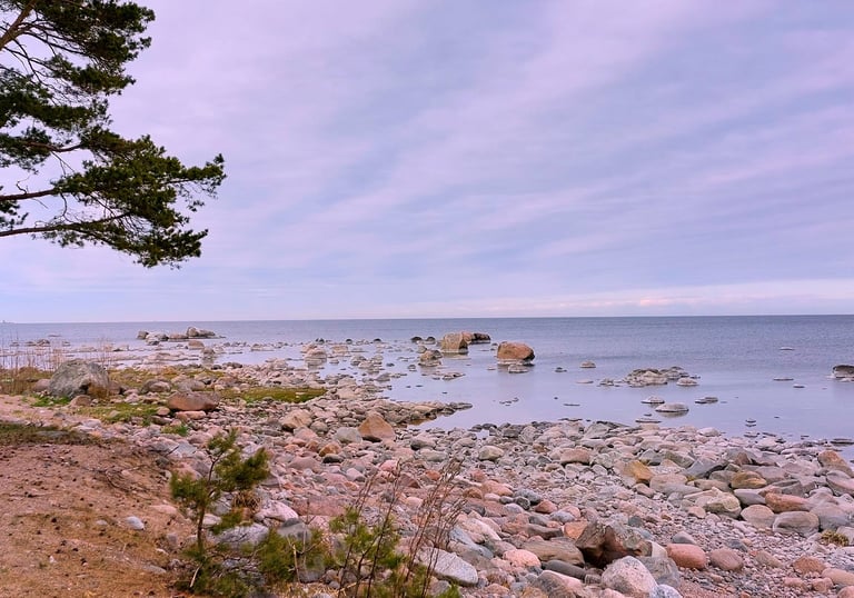 Estland Küste Ostsee Finnland