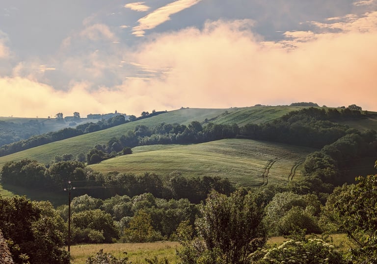 Paysages de campagne verdoyante