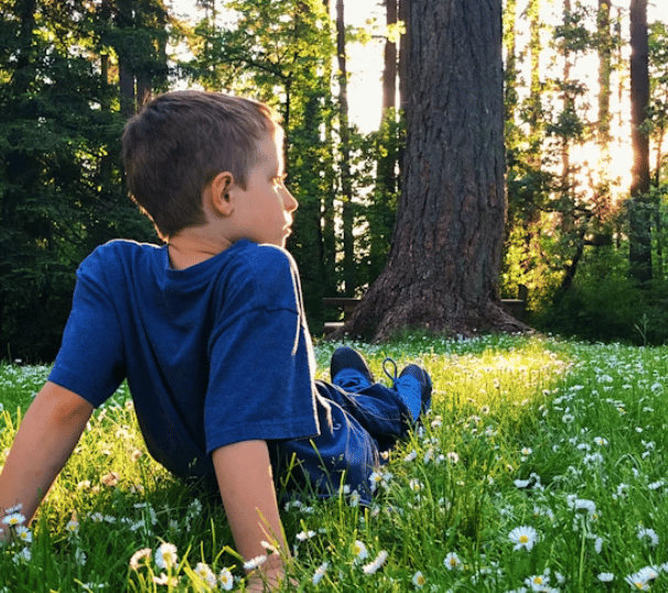 A young boy sits in a grassy field of white daisies at sunset near a large tree in the woods.