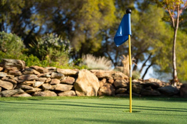 phoenix artificial putting green turf