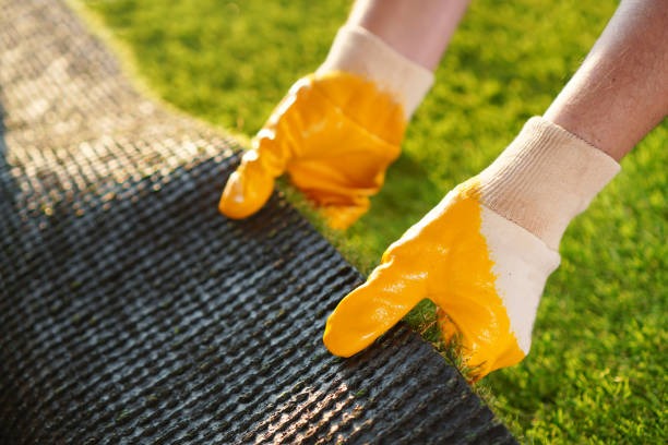 artificial turf installers phoenix