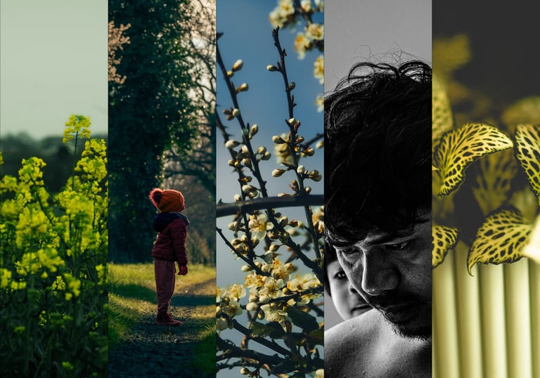 Cover Photo