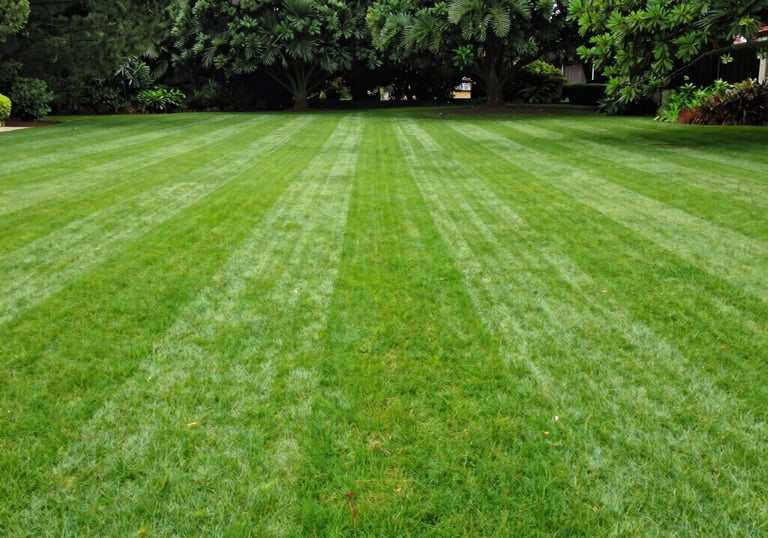 A neatly trimmed hedge lining a peaceful garden path.