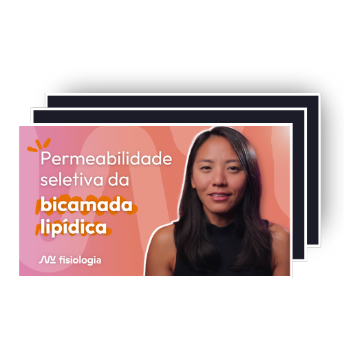 Slides Transporte de membrana