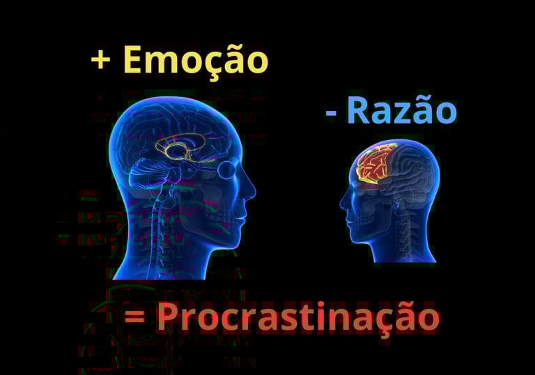 Por que procrastinamos? o conflito entre o córtex pré-frontal e o sistema límbico - neurociência