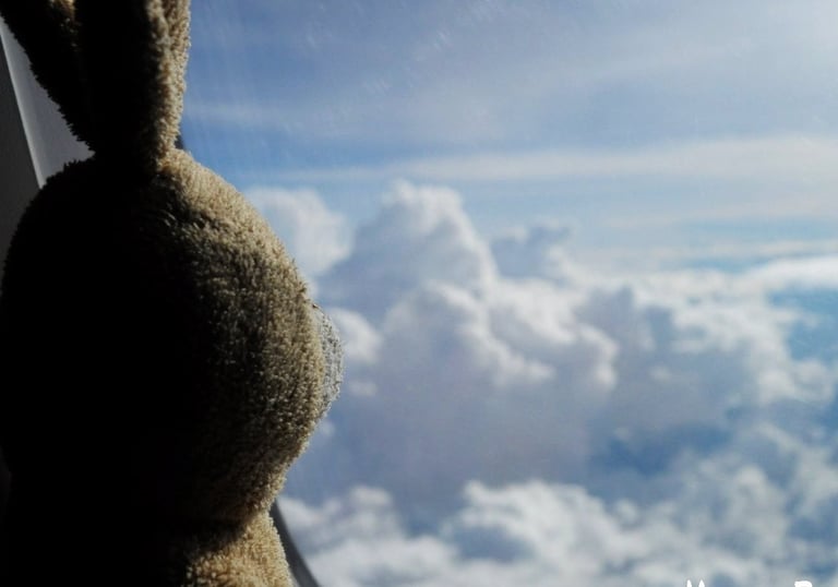 a stuffed animal rabbit in the sky